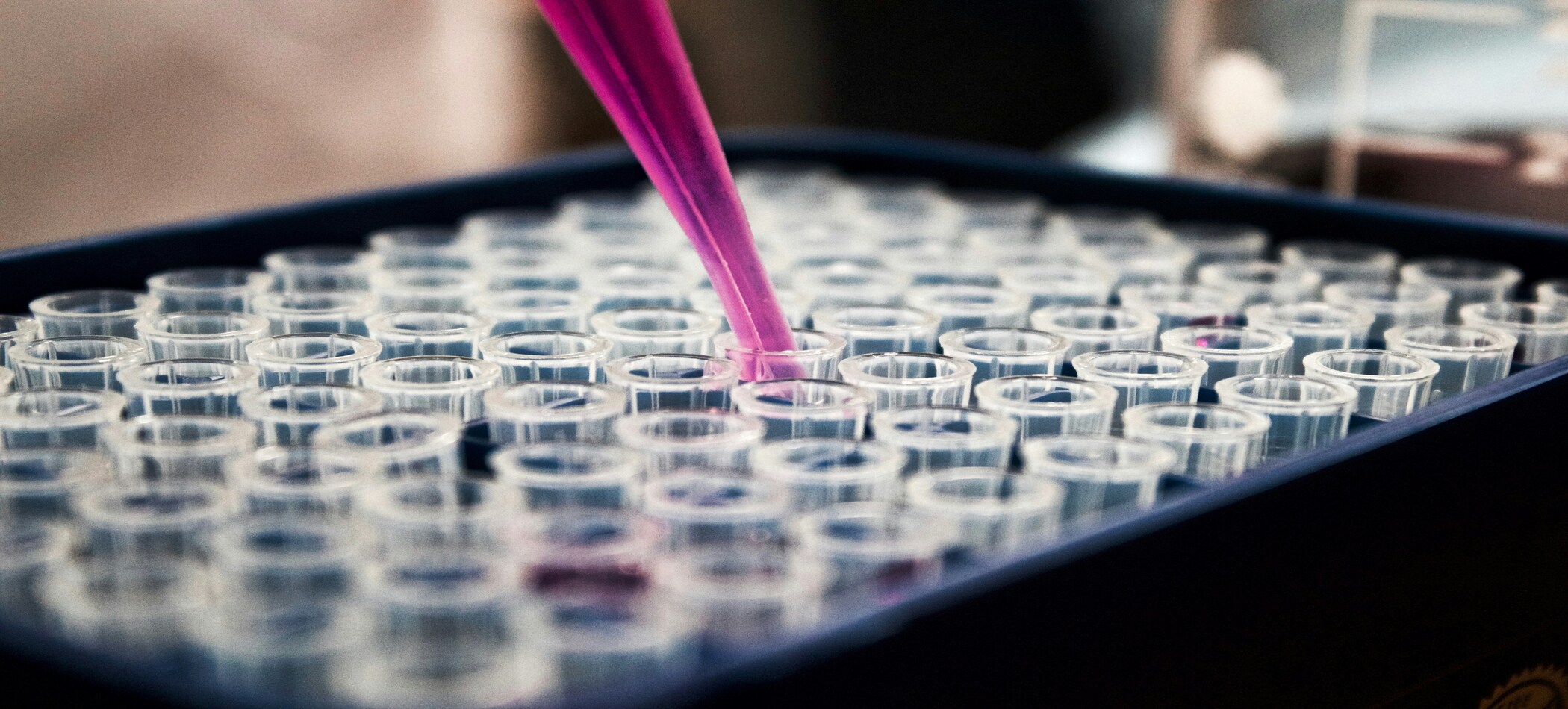 Nickel Plating Chemicals